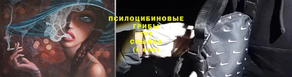 стаф Остров