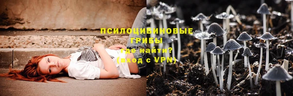 шишки Алексеевка